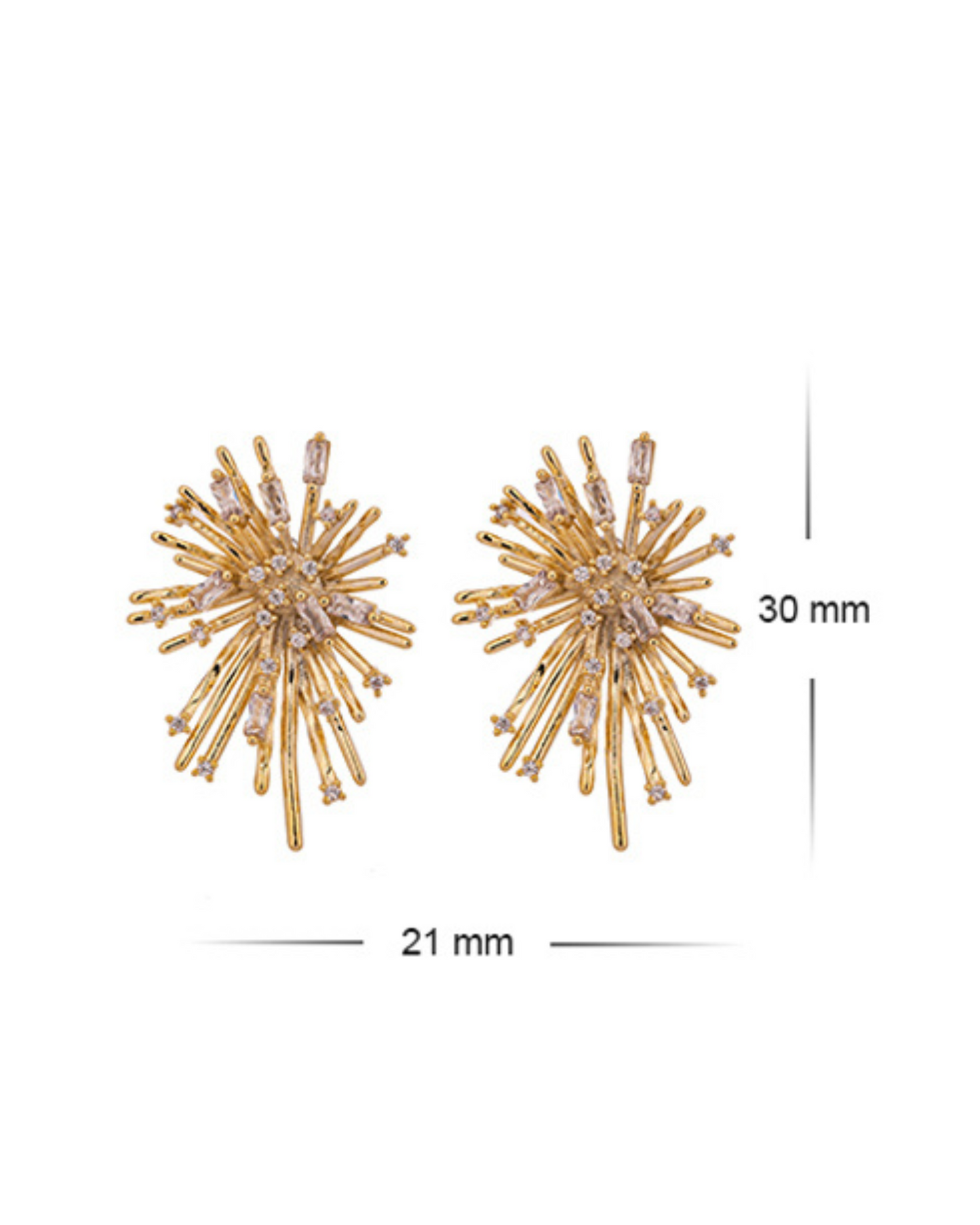 GIOIA Premium Earrings